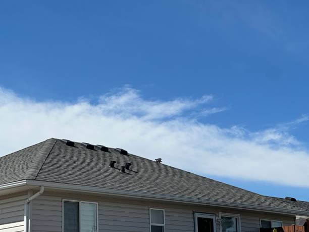 Best Tile Roofing Installation  in Blue Island, IL